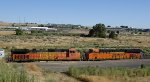 BNSF 5044-BNSF 6599